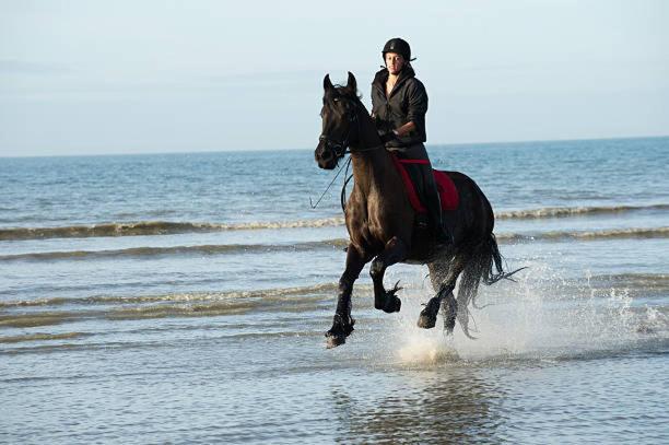 "Magnifique 2 Pieces " 150M Plages Et 500M Centre De Cabourg Exterior foto